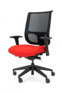 Highmark Ergonomic Chair