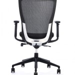 Ergonomic Chair