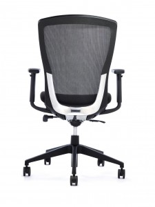 Ergonomic Chair