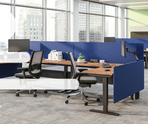 Esi ergo office furniture shared L shaped work spaces with blue privacy panels