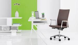 Arcadia modern bright office with ergonomic desk and black task chair