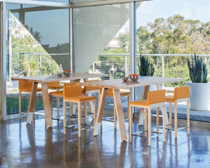 Arcadia stools for counter height seating