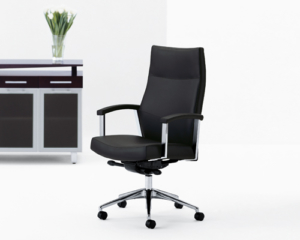 Arcadia black executive task chair