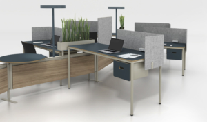 Watson modern standing height desk with privacy panel