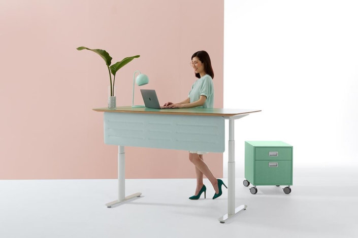 Darran modern sit or stand desk with privacy panel