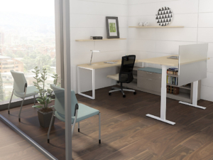 Private Office Computer Desk