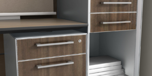 Watson storage with lock