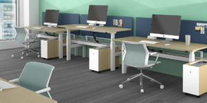 Watson height adjustable work stations with storage