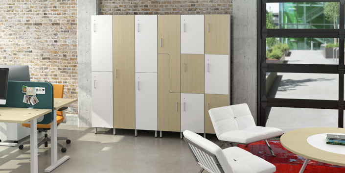 Watson storage cabinet and employee lockers