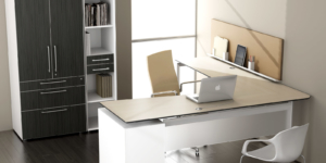 Watson modern executive office with desk and storage