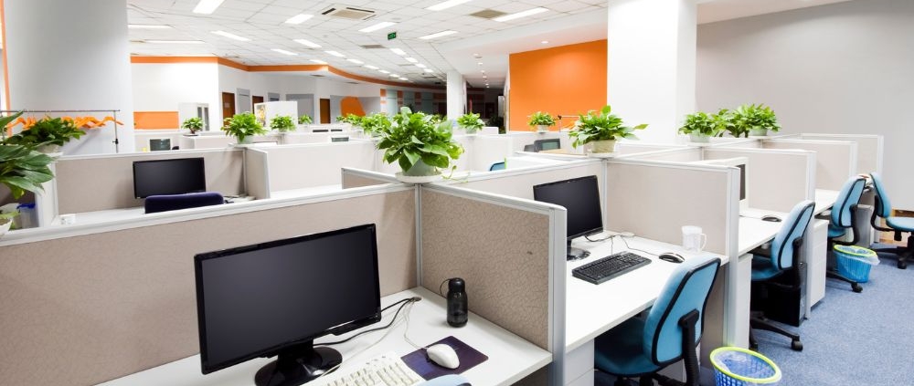 The Benefits of Privacy Panels in Open Office Environments