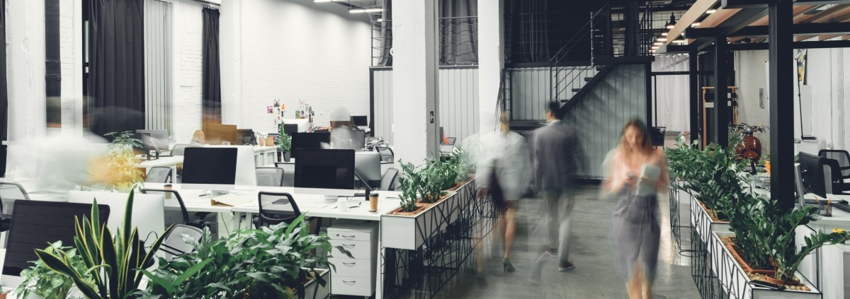 An open office with people walking around. There are multiple computer screens and desks with plants throughout.