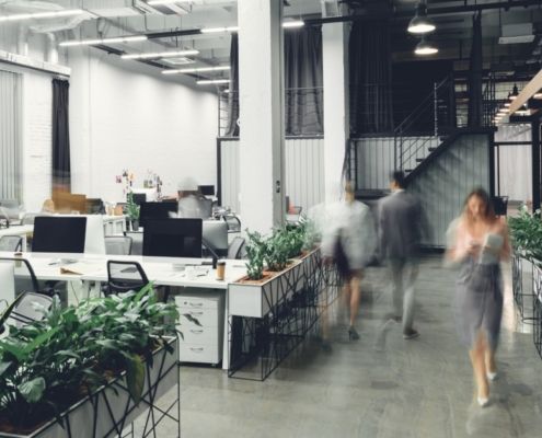 An open office with people walking around. There are multiple computer screens and desks with plants throughout.