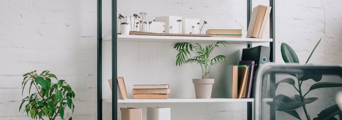 An office with shelves that have books and plants on them. There is also a desk and a chair in the office.