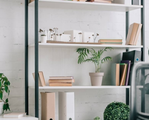 An office with shelves that have books and plants on them. There is also a desk and a chair in the office.