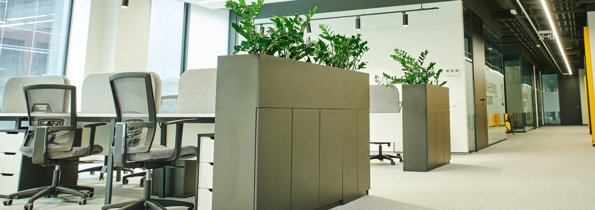 An open office space with shared desks and multiple chairs at each. There are plants at one end of each desk.