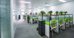 What Are the Benefits of a Biophilic Office Design?