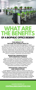 What Are the Benefits of a Biophilic Office Design?