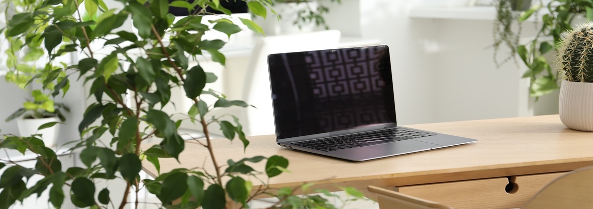 A modern and bright office workspace featuring a laptop, leafy plants, and floral decor in a biophilic design.