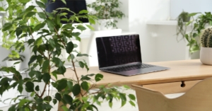 A modern and bright office workspace featuring a laptop, leafy plants, and floral decor in a biophilic design.