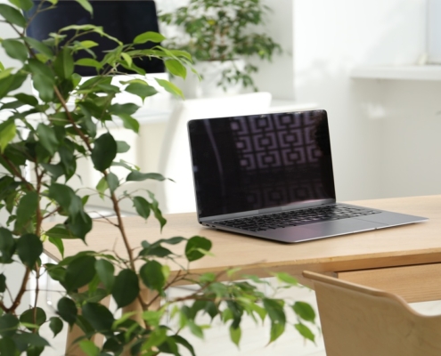 A modern and bright office workspace featuring a laptop, leafy plants, and floral decor in a biophilic design.