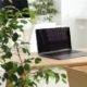 A modern and bright office workspace featuring a laptop, leafy plants, and floral decor in a biophilic design.