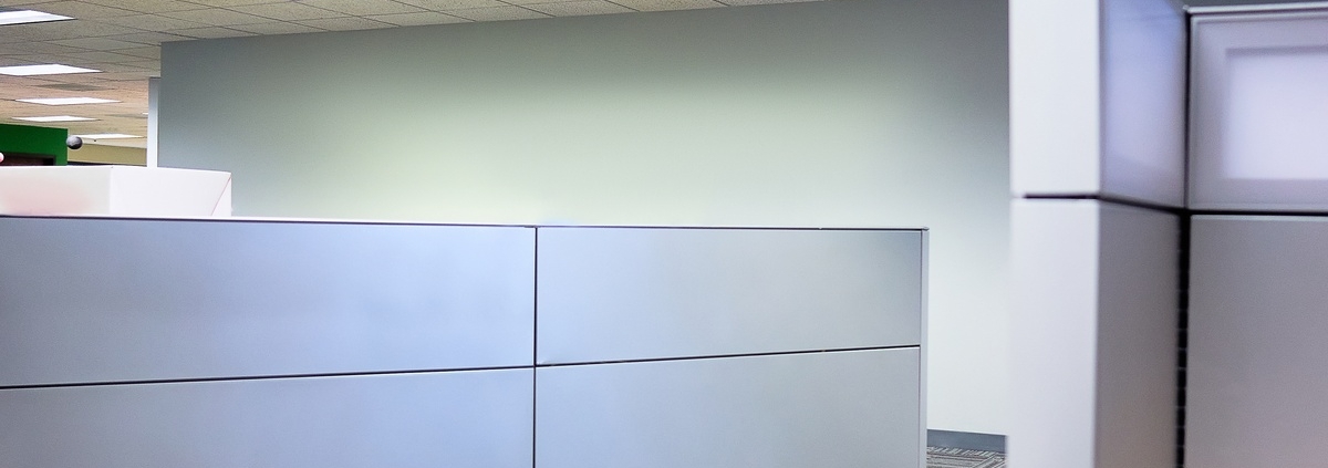Empty office cubicles with gray partitions, patterned carpet, and drop ceiling lights in a quiet workspace.