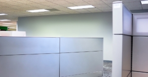 Empty office cubicles with gray partitions, patterned carpet, and drop ceiling lights in a quiet workspace.