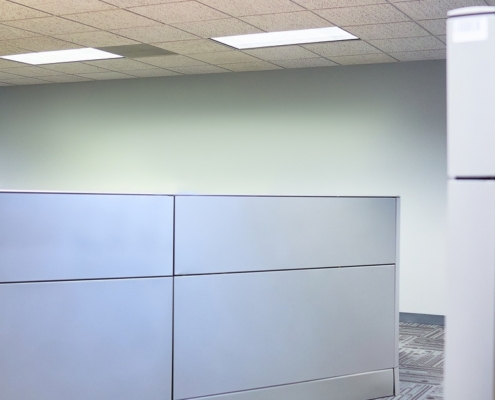 Empty office cubicles with gray partitions, patterned carpet, and drop ceiling lights in a quiet workspace.