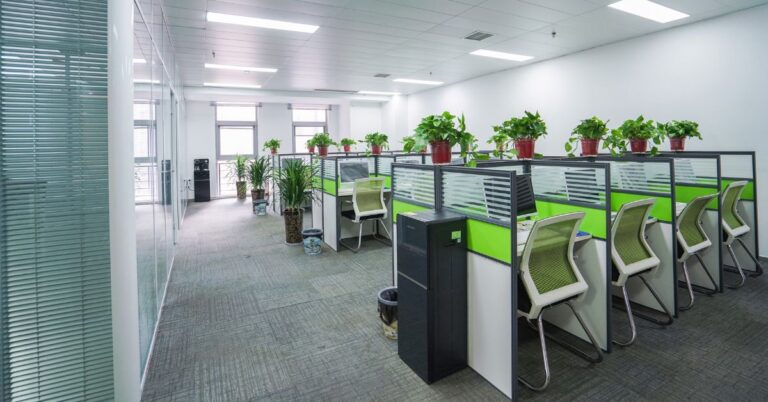 What Are the Benefits of a Biophilic Office Design?