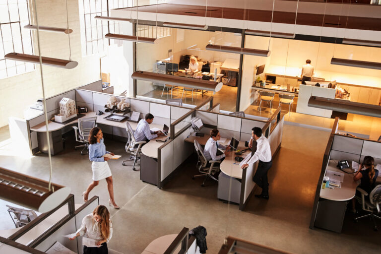 How To Manage Productivity in a Noisy Workplace