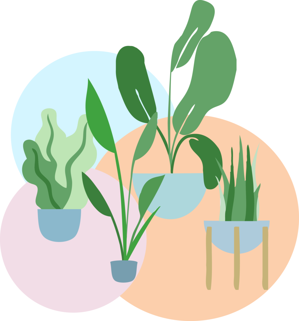 Plants – Central Oregon Office Interiors, Bend OR